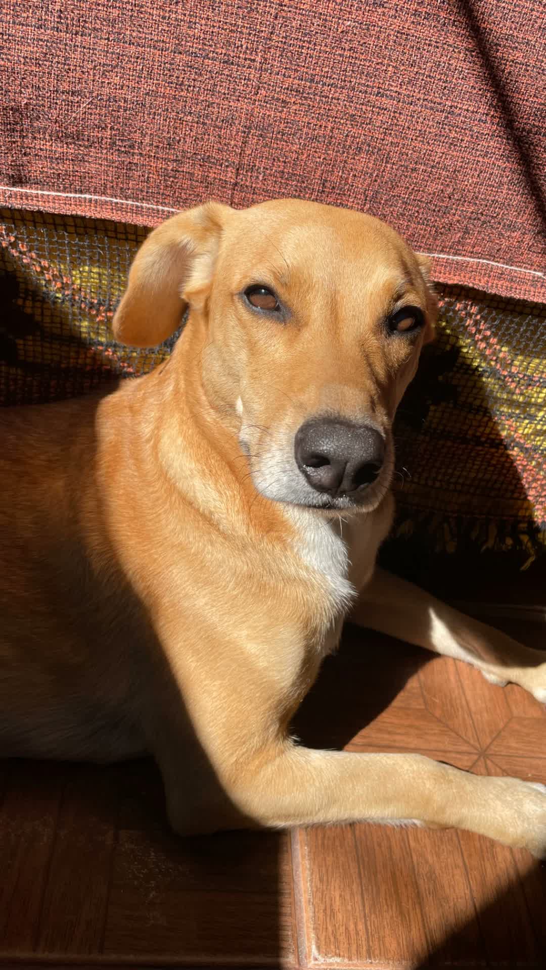 Maggie